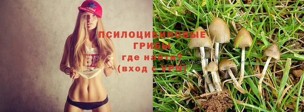 дживик Алзамай