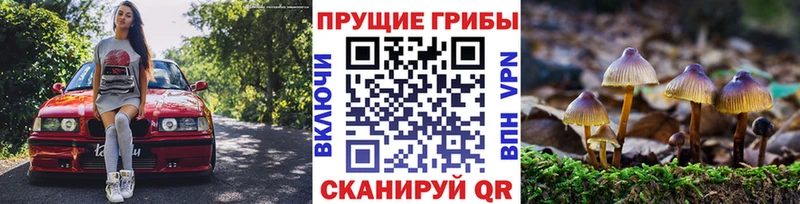 Псилоцибиновые грибы Psilocybe  kraken онион  Михайловск 