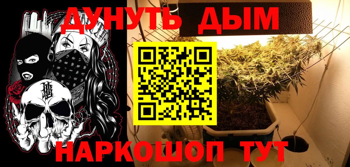Бошки Шишки конопля Михайловск